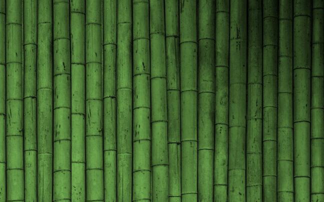 Green Bamboo Wallpapers