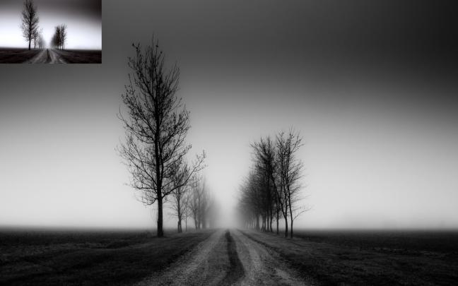Black White Landscape Fog Wallpapers HD \/ Desktop and Mobile Backgrounds