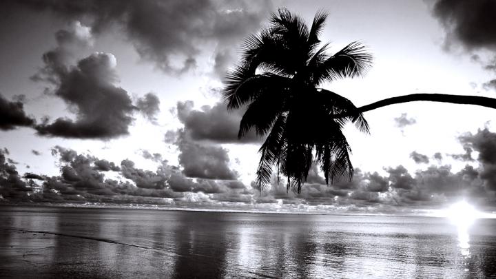 Black White Sunset Beach Wallpapers HD \/ Desktop and Mobile Backgrounds