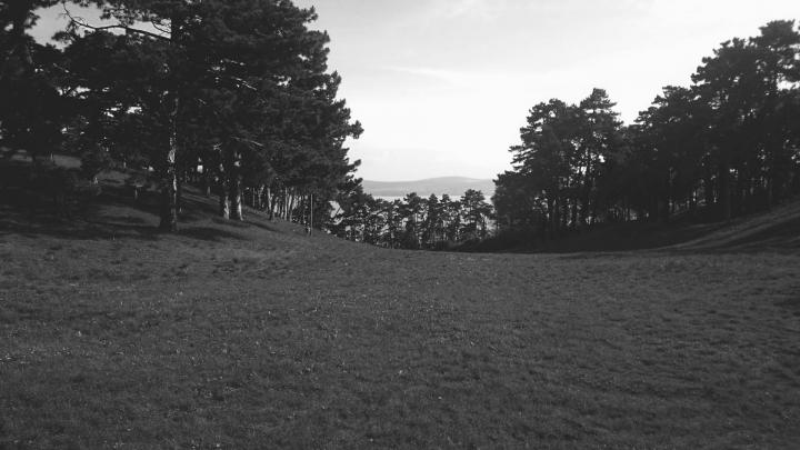 forest, Black, White, Monochrome, Hungary, Lake, Mountains, Landscape 