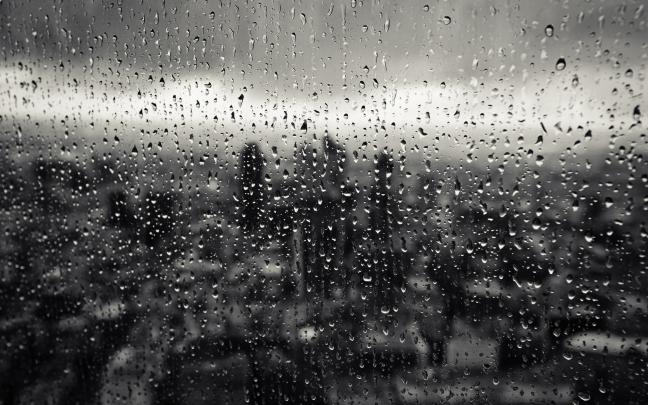 Wonderful Raindrop Full HD Wallpapers - All HD Wallpapers