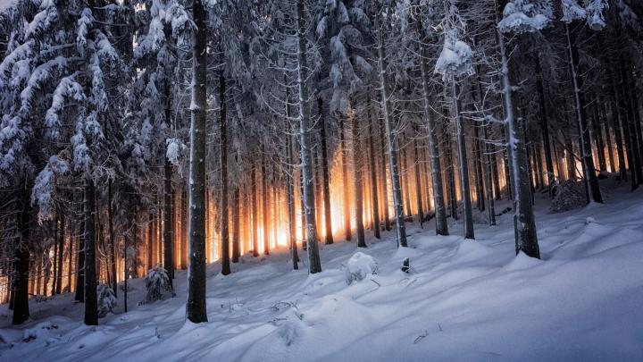 winter, Landscape, Forest Wallpapers HD \/ Desktop and Mobile Backgrounds