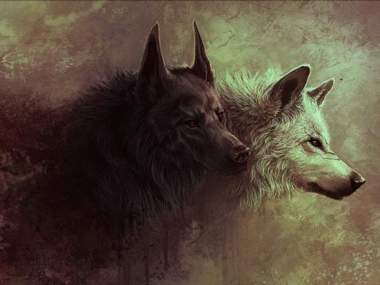 Painting of two black and white fox wallpaper, wolf, digital art 
