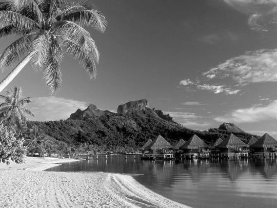 Black and White Wallpapers: Black and White Beach Landscape HD 