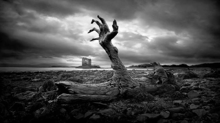 wood, Monochrome, Landscape, Clouds, Stones, Castle, Scotland 