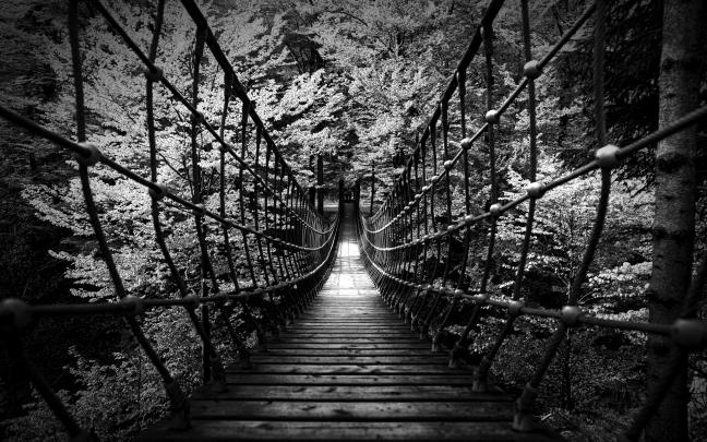 monochrome, Black, White, B w, Landscapes, Nature, Wood, Rope, Scary 