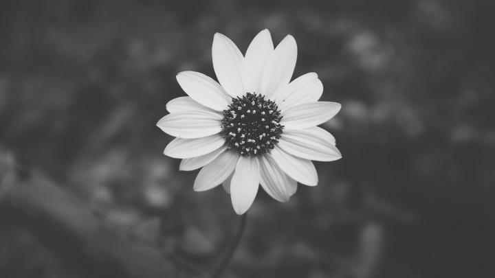 49+ Aesthetic Tumblr backgrounds Black \u00b7\u2460 Download free cool HD 