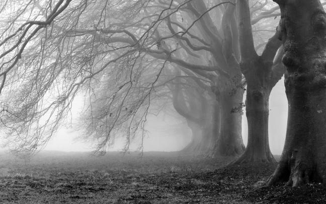 28+ Creepy Backgrounds, Wallpapers, Images, Pictures | Design Trends 