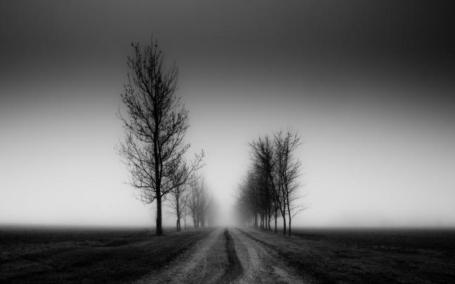 Black and White Wallpaper Desktop \u00b7\u2460 