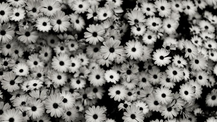 Computer wallpaper Tumblr \u00b7\u2460 Download free awesome HD backgrounds for 
