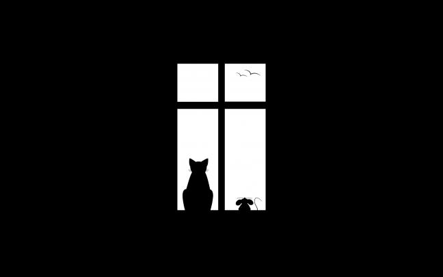 minimalism, Artwork, Black Background, Animals, Black, White, Cat 