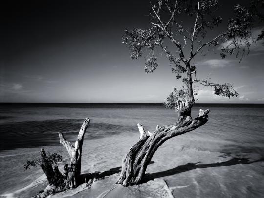 Desktop Wallpapers: The Art Of Black \u0026 White
