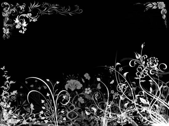 Floral Computer Wallpapers