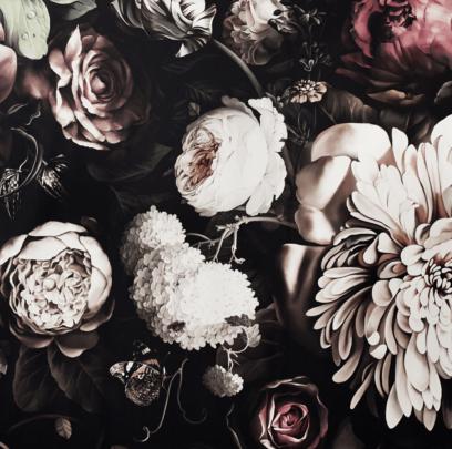 Black Floral Wallpapers on WallpaperDog