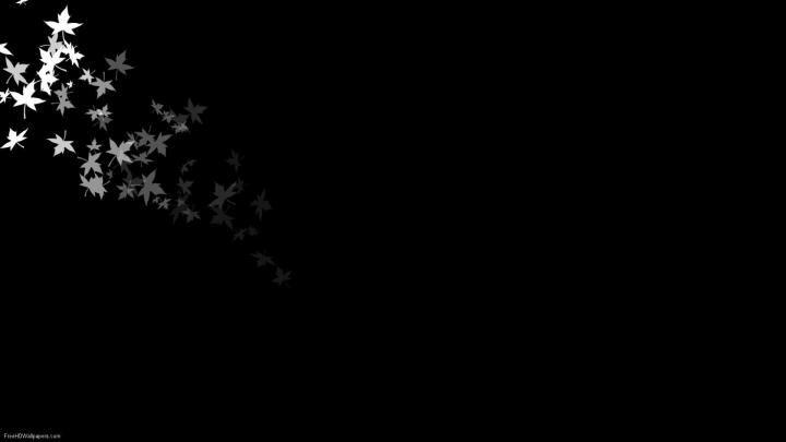 Floral Wallpaper With Black Background 19 High Resolution 