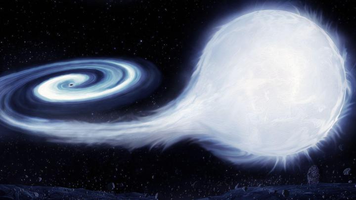 Black Hole Backgrounds