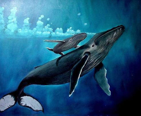 Whale Wallpapers
