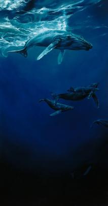 ocean, Animal, Cute, Blue, Deep, Whale Wallpapers HD \/ Desktop and 
