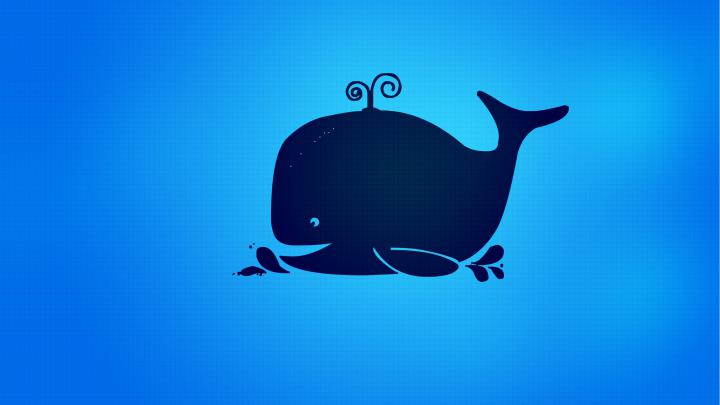 Blue whale Wallpapers | HD Wallpapers | ID #17303