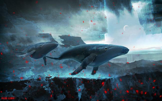 Blue Whale Wallpaper (62+ pictures)