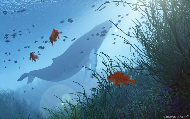 Whale Wallpapers for Desktop (57+ images)