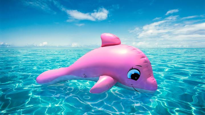 Whale Wallpapers for Desktop (57+ images)