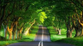 Beautiful Summer Wallpapers Desktop