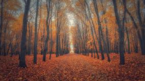 Beautiful Wallpapers Desktop Big Size