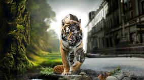 Best Wallpapers 3d For Desktop