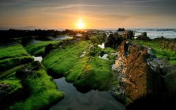 Best Website To Download Desktop Wallpapers