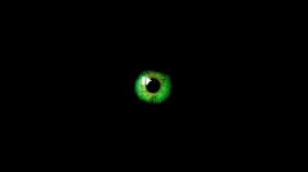 Black And Green Desktop Wallpaper