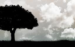 Black And White Photography Desktop Wallpaper