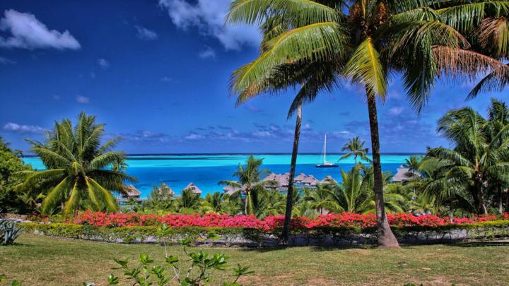 Beautiful Bora Bora HD desktop wallpaper : Widescreen : High Definition 