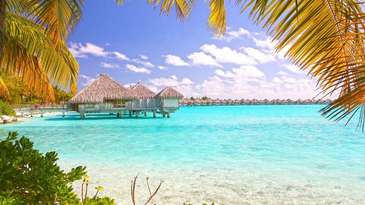Tropical Wallpaper Desktop \u00b7\u2460 