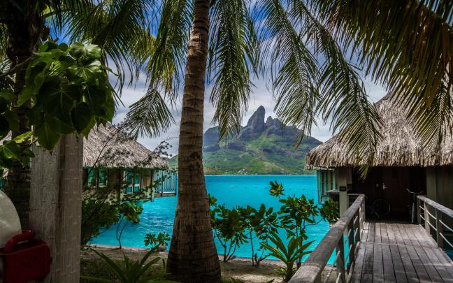 nature, Landscape, Tropical, Island, Beach, Resort, Palm Trees, Sea 