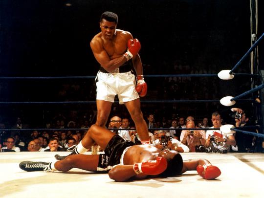Boxing Wallpapers - Download Free Wallpapers For Desktop, Cricket 
