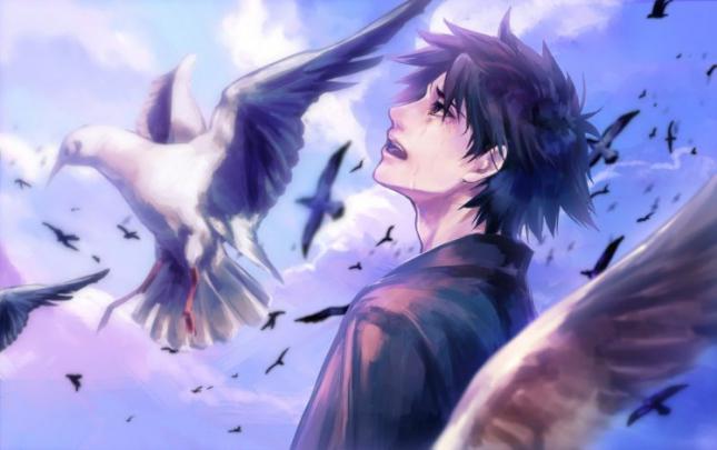 anime, Boy, Cry, Bird, Clouds, Sky Wallpapers HD \/ Desktop and Mobile 