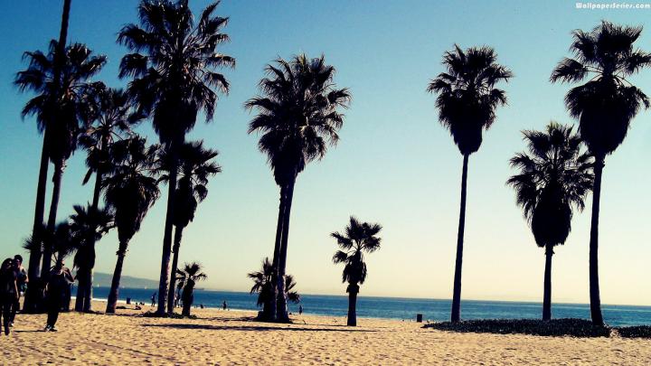Venice Beach Wallpapers, Pictures, Images