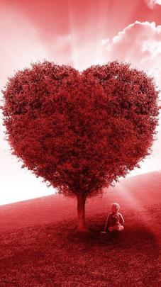Valentine\u0026#39;s Day Heart Tree Wallpaper - Wallpapers in HD