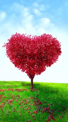 Valentine\u0026#39;s Day Heart Tree Wallpaper - Wallpapers in HD