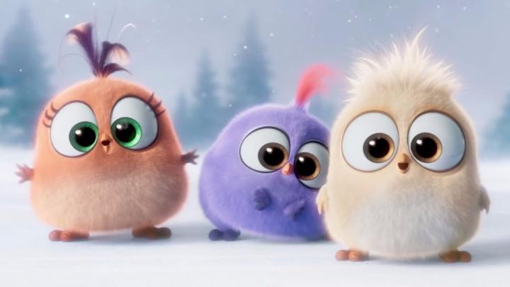 Free download Cute The Angry Birds Movie 4K Wallpaper 4K Wallpaper 