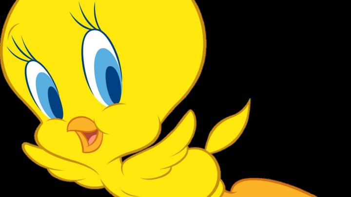 Tweety Cartoon Wallpaper \u00b7\u2460 