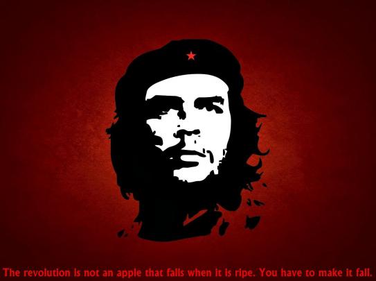 Download Che Guevara Wallpapers With Quotes Gallery