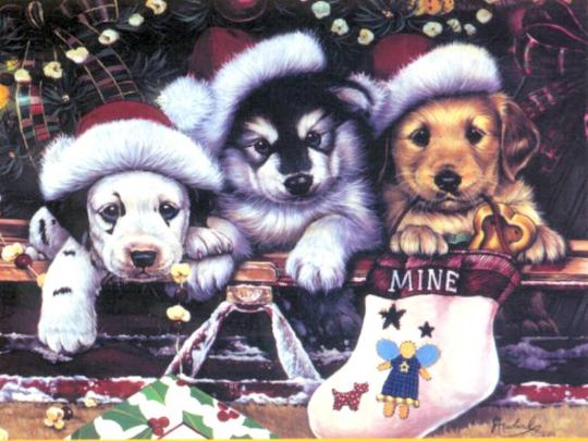Cute Animals Christmas Wallpapers | 9st Street - Holiday Decorations 