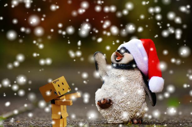 Funny Winter Animal Wallpaper (55+ images)