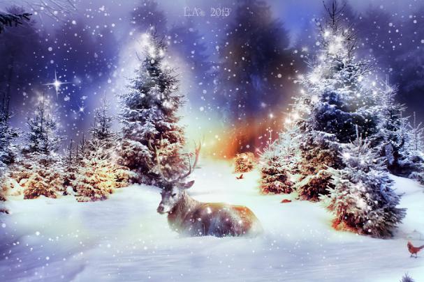 [40+] Christmas Animal Wallpaper for Desktop 