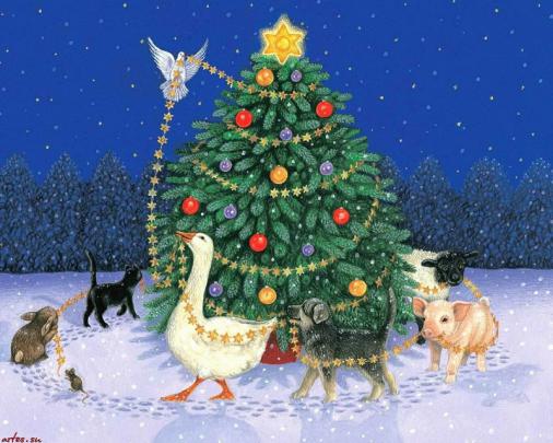 animals bird animal christmas \u2013 Animals Other HD Desktop Wallpaper