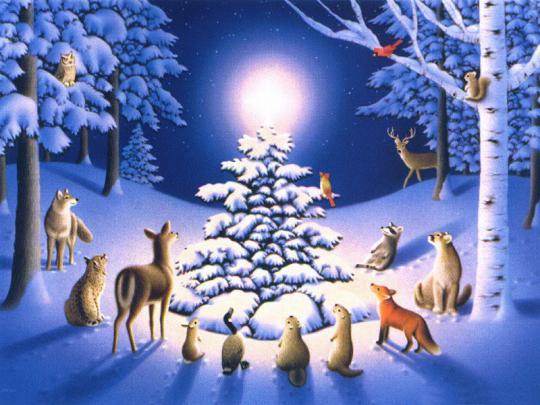 Christmas Winter Desktop Wallpapers