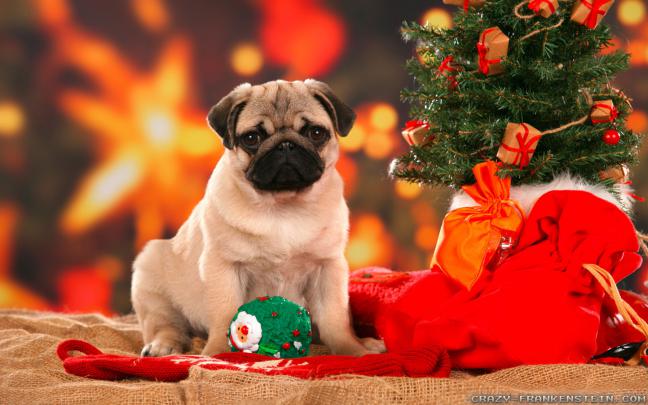 Christmas Wallpaper and Screensavers (60+ images)