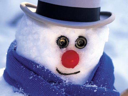 Animals Zoo Park: Free Christmas Snowman Wallpapers for Desktop